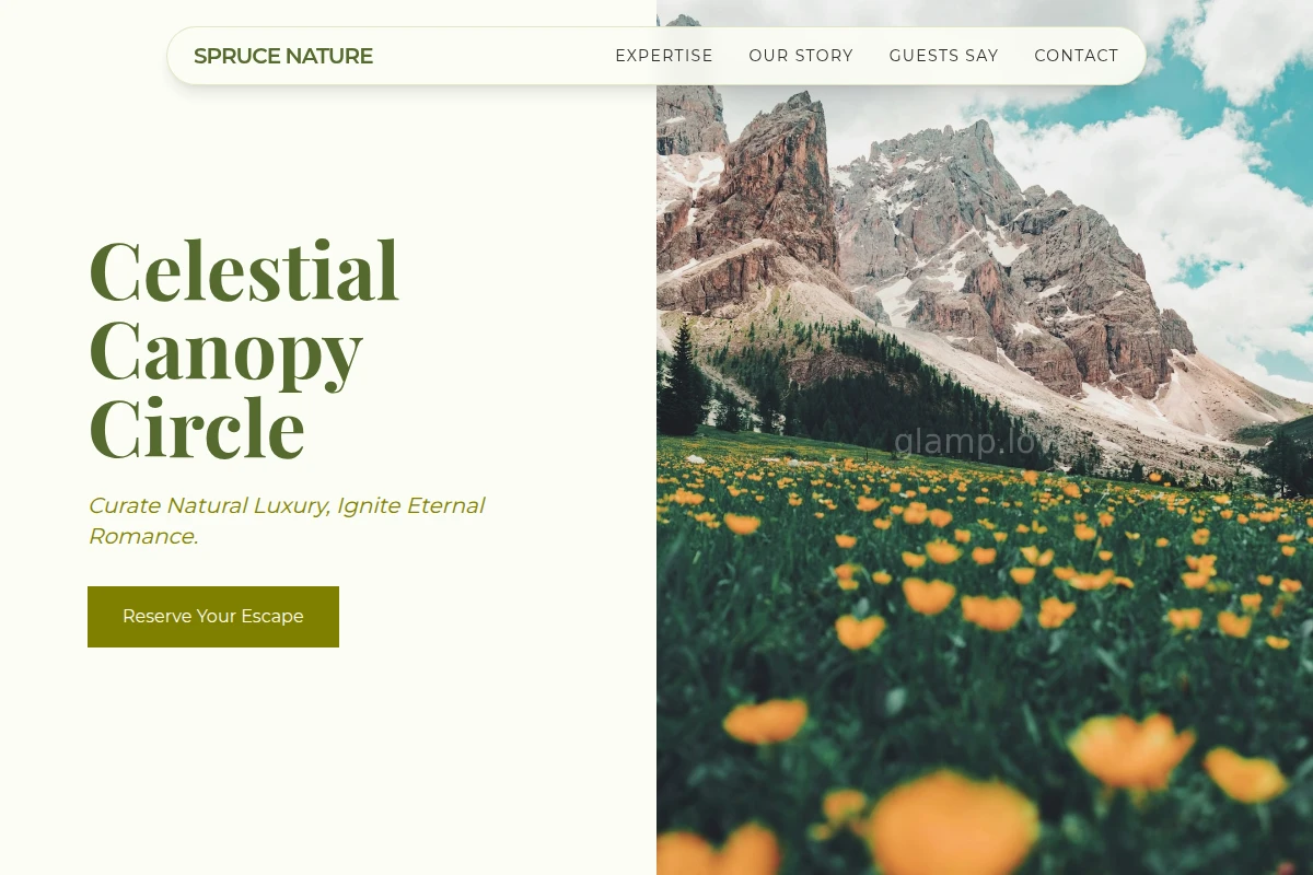 Spruce Nature