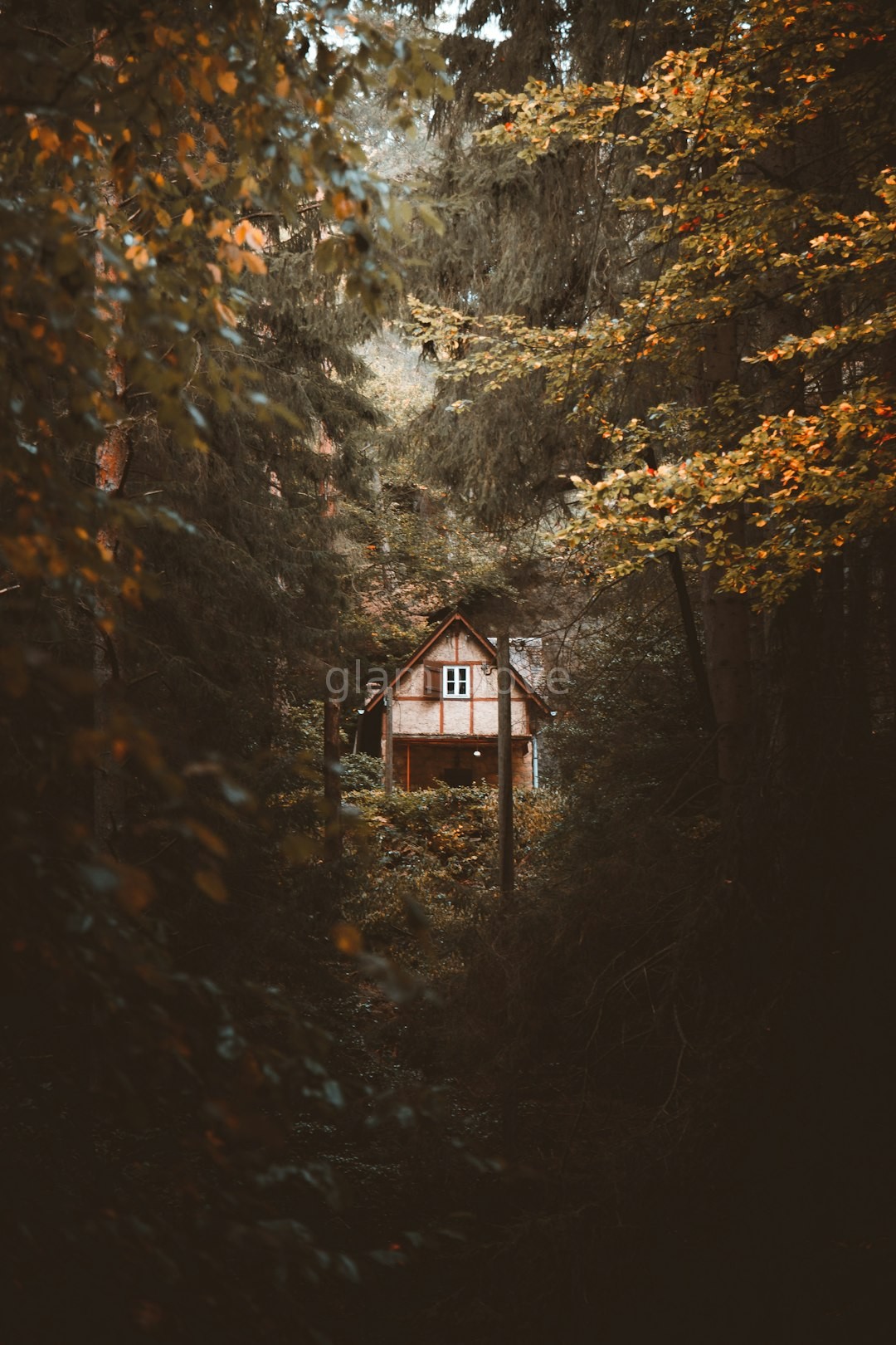 Nature Retreat