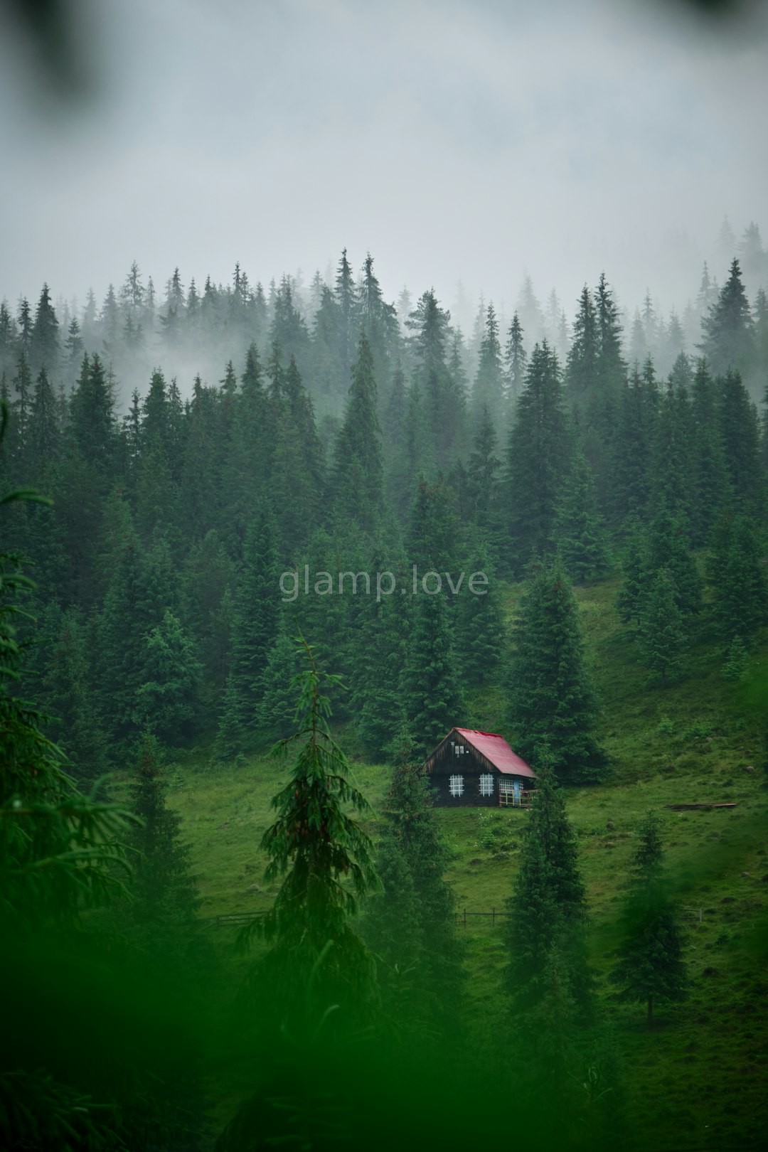 The Cabin Experience